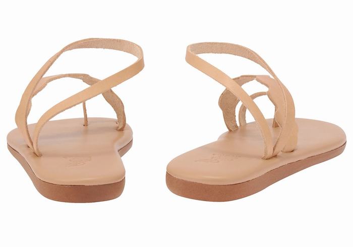 Sandales Toe-Post Ancient Greek Sandals Koralia   | SZW-1214166